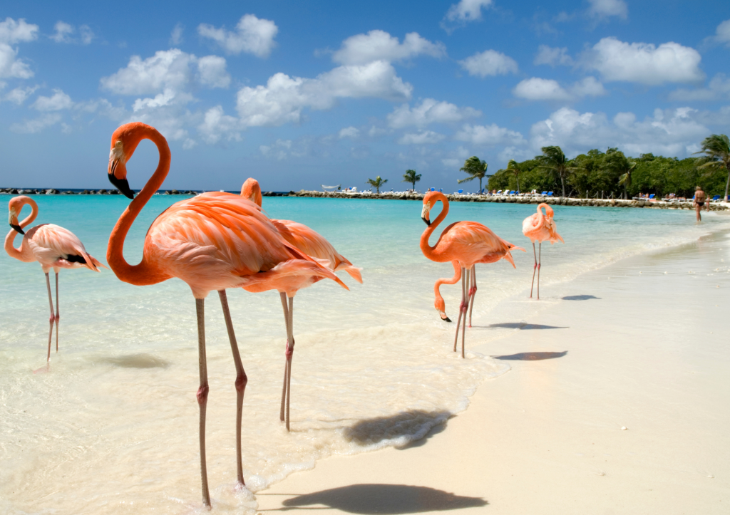 Aruba
